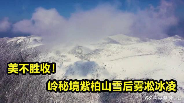 印钊带队开展“改善生态环境”专项民主监督工作调研