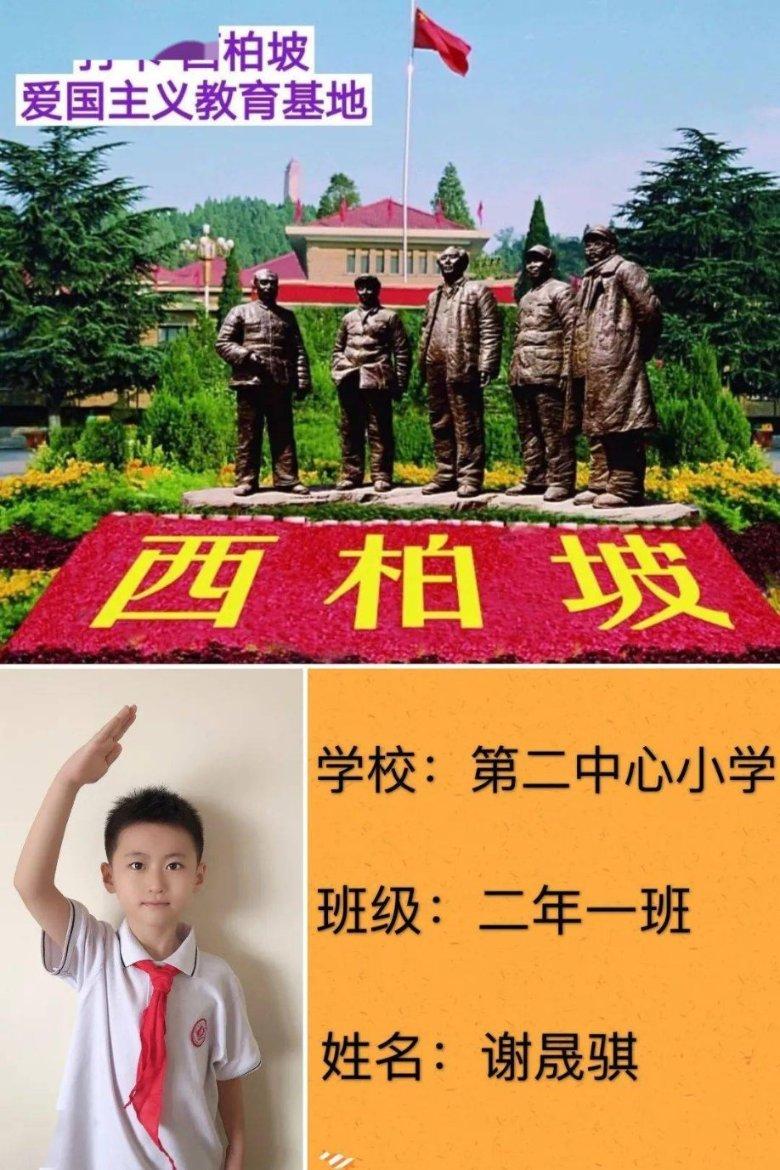 从压力到植物神经紊乱：一个白领女性的真实经历